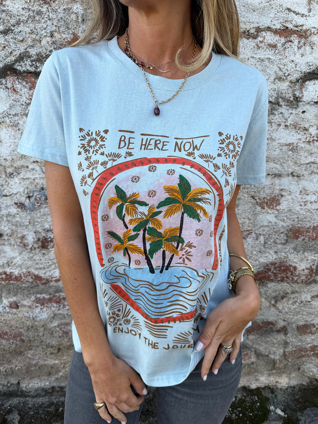 Polera farm celeste