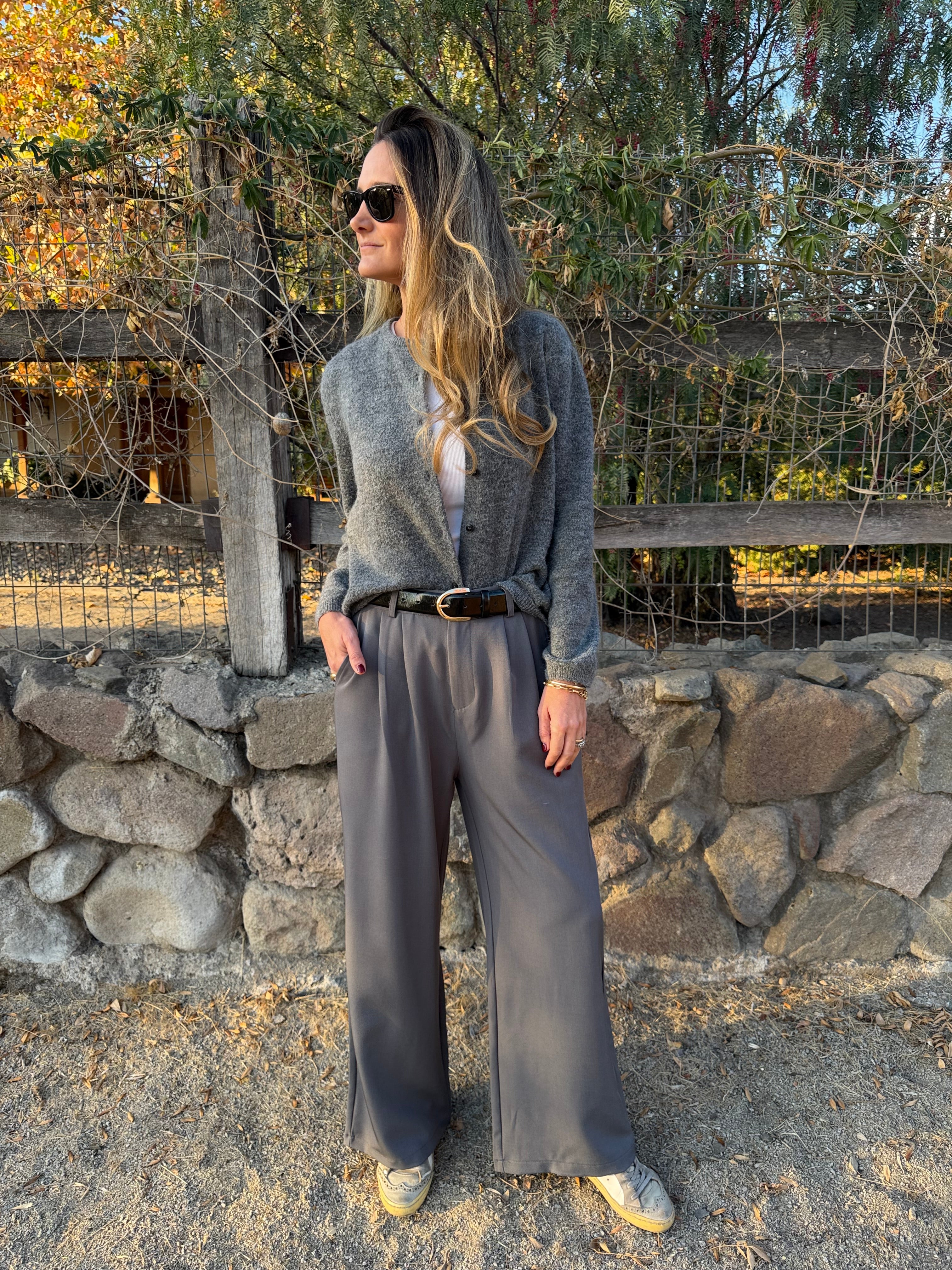 Pantalón sastre fluido gris