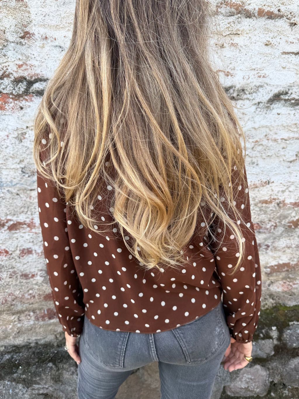 Blusa gasa puntitos café
