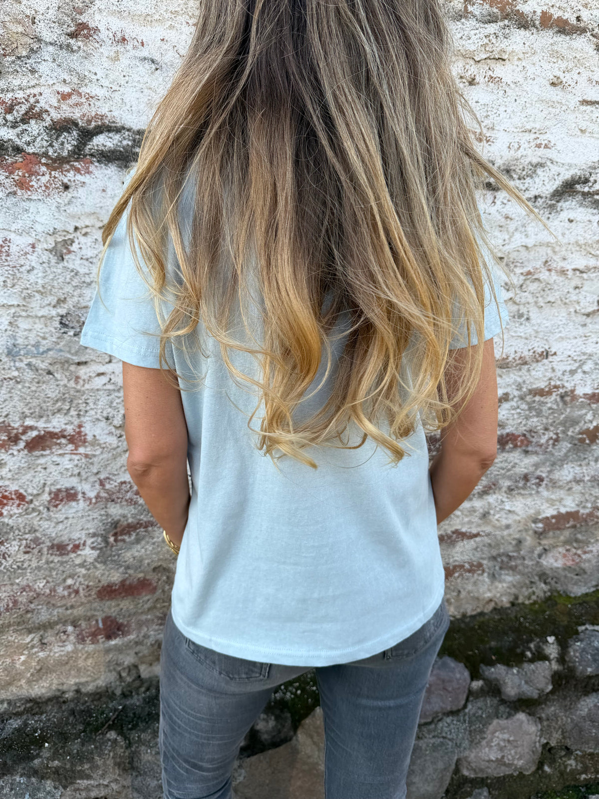 Polera farm celeste