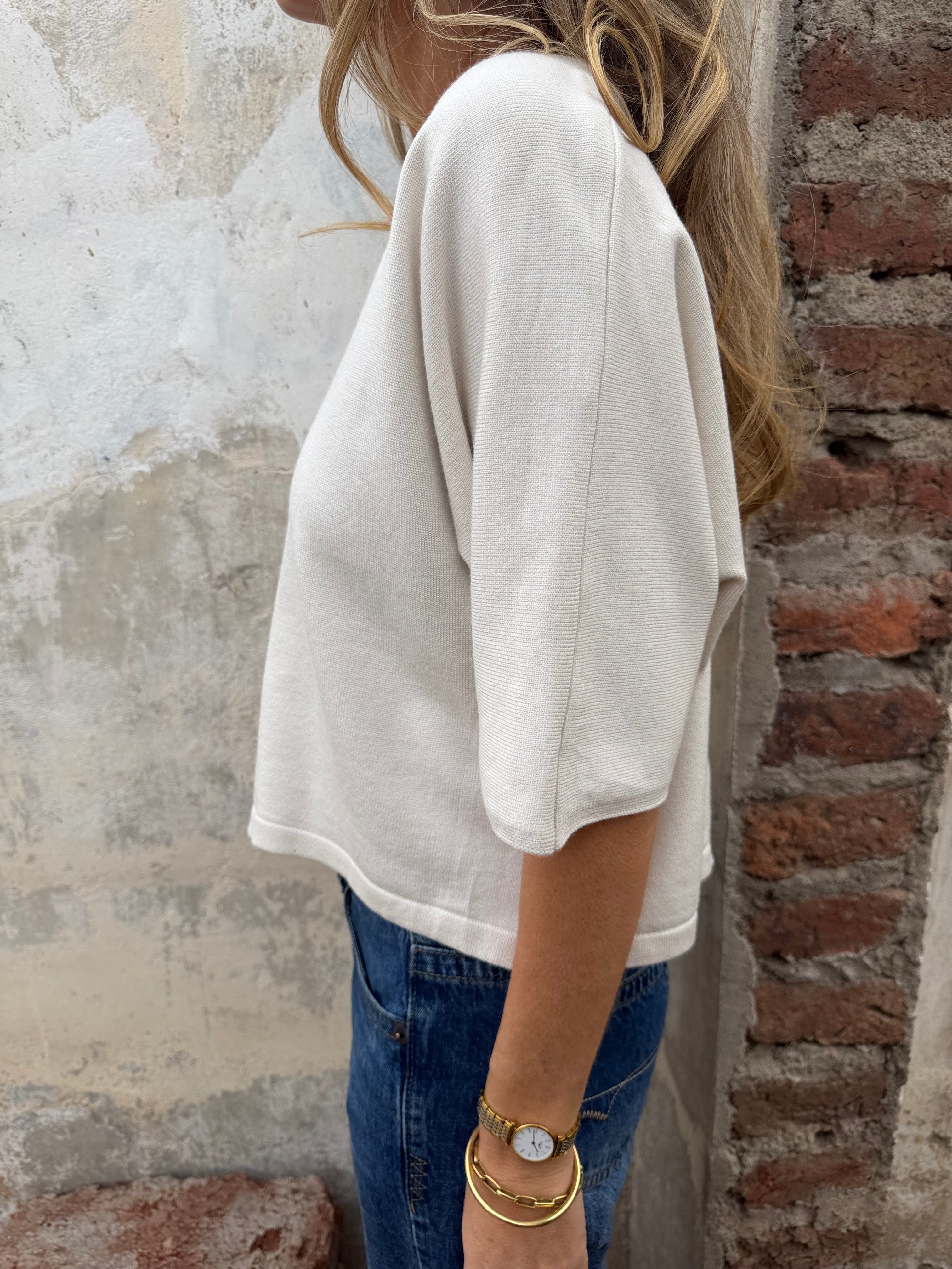 Polera/ Chaleco hilo brillos sutiles blanco