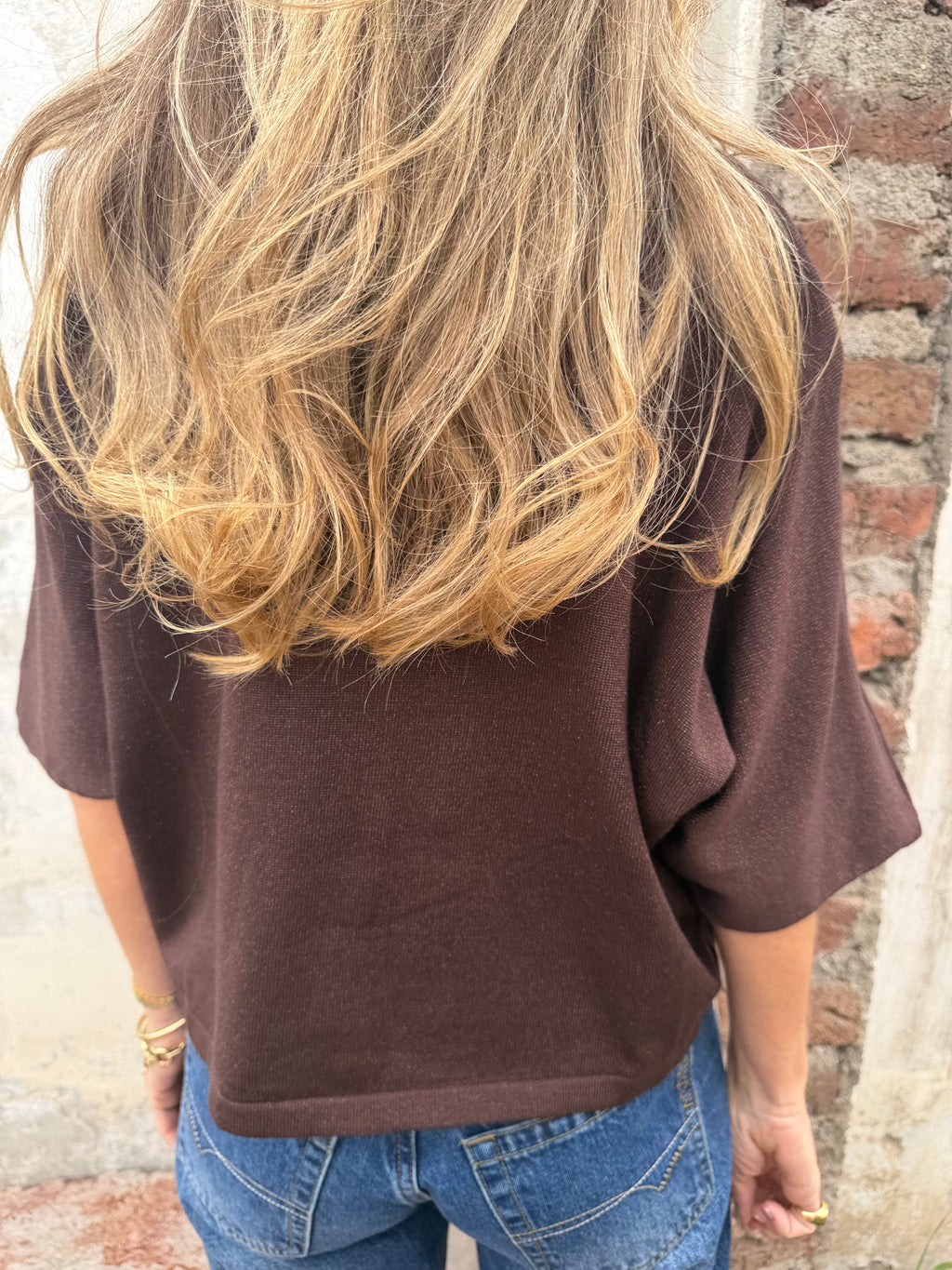 Polera/ Chaleco hilo brillos sutiles café oscuro