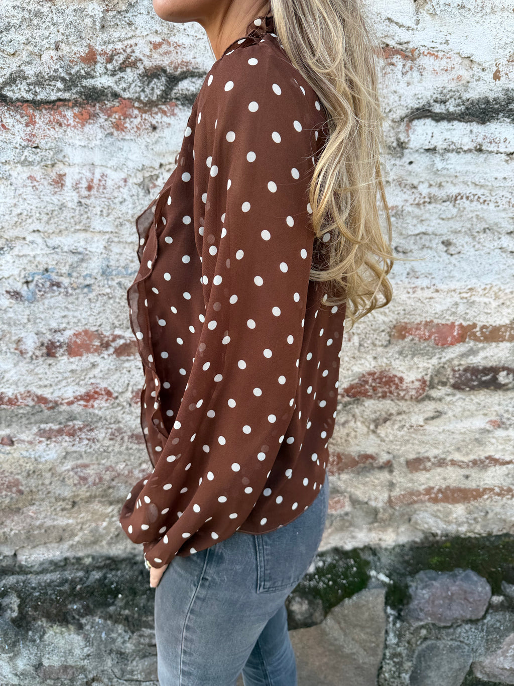 Blusa gasa puntitos café
