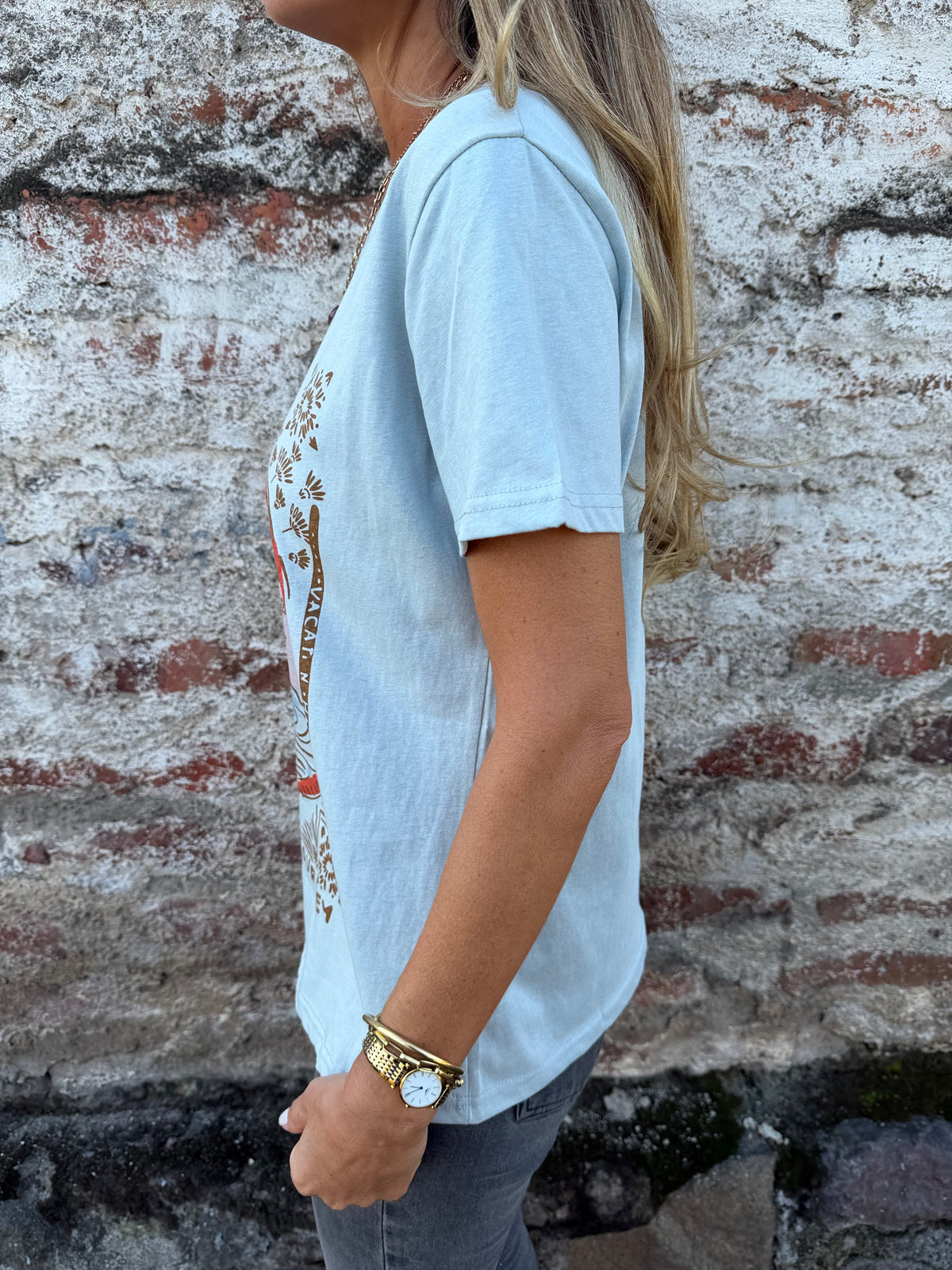 Polera farm celeste