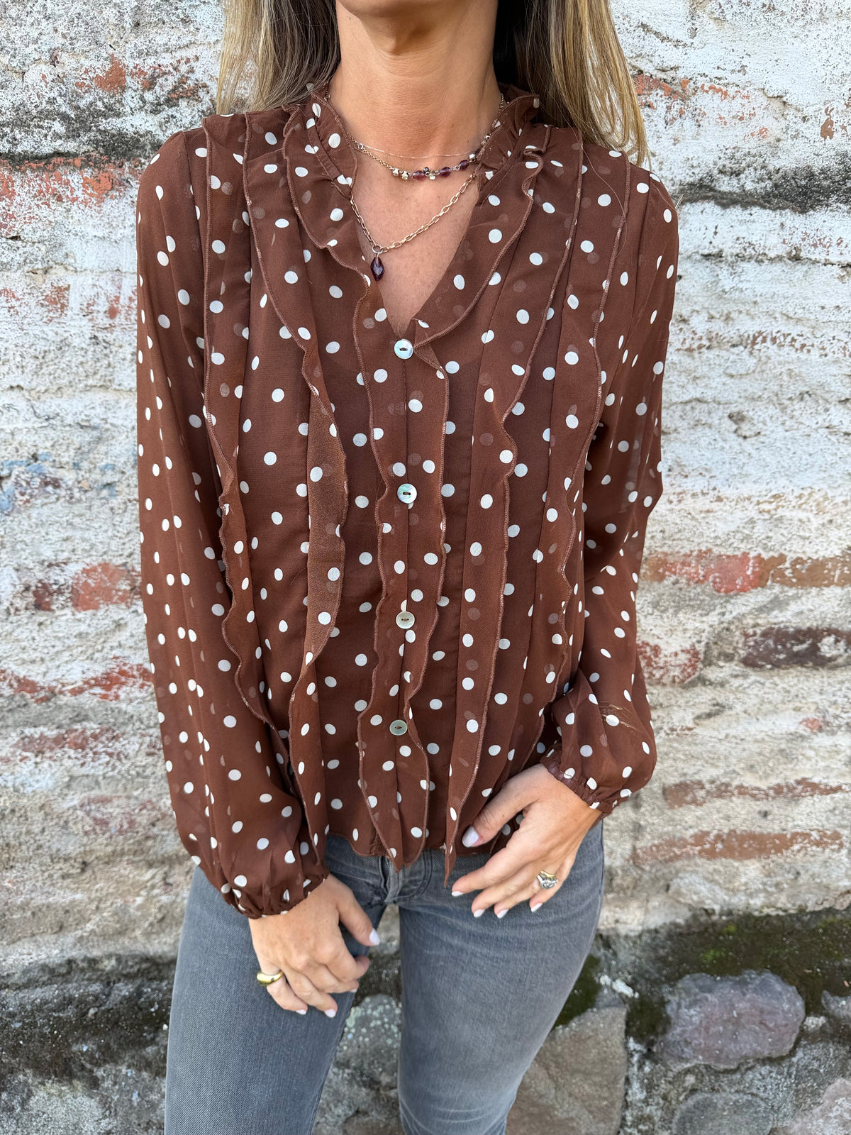 Blusa gasa puntitos café
