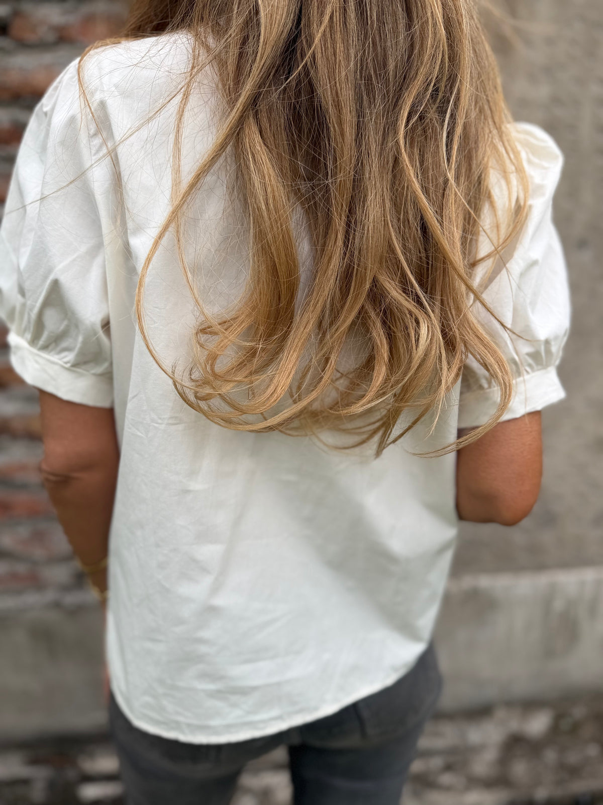 Blusa bordados mangas abullonadas beige claro