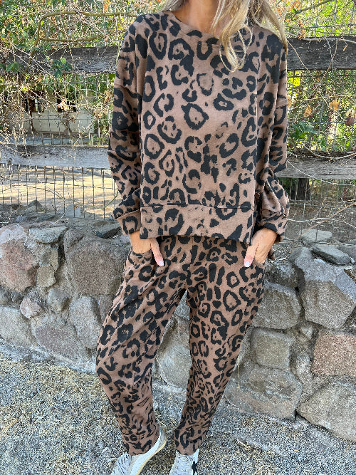 Set animal print chocolate